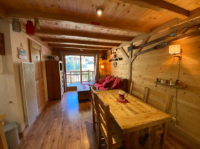 Appartement style montagne, 4 personnes, 1 chambre, 1 coin montagne - ALPINA07